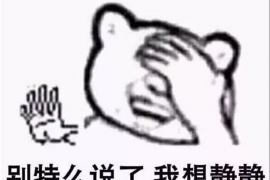 王宝敏要账