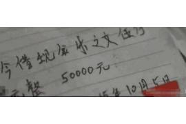金太狼解说要账，揭秘高效追收欠款的秘诀