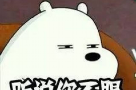 合同需要账号：揭秘现代商业交易中的数字钥匙
