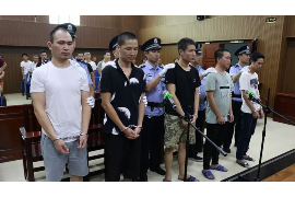 挂靠公司怎么要账，有效策略与案例分析