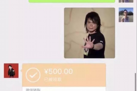 罗曼罗兰要账：一场跨越时空的追索之旅