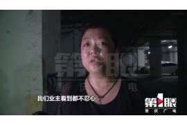 追讨债务，是许多企业和个人都可能会遇到的问题。在这个过程中，一个专业的追讨债务律师团队显得尤为重要。今天，我们就来聊聊这个话题，看看如何选择合适的律师团队，以及他们能为追讨债务带来哪些帮助。