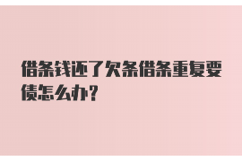 飞行卡催收短信怎么写？——实用技巧与案例分析